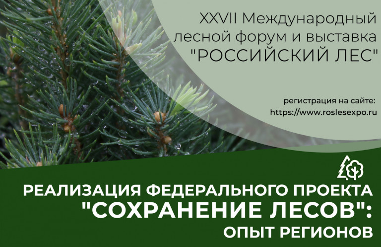 Реализация федерального проекта "Сохранение лесов" Минприроды КБР в 2023 году В